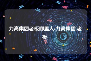 力高集团老板哪里人(力高集团 老板)