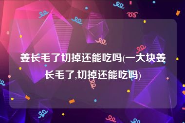 姜长毛了切掉还能吃吗(一大块姜长毛了,切掉还能吃吗)