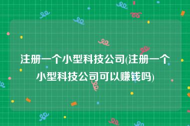 注册一个小型科技公司(注册一个小型科技公司可以赚钱吗)