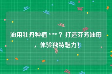 油用牡丹种植 *** ？打造芬芳油田，体验独特魅力！