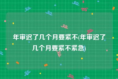 年审迟了几个月要紧不(年审迟了几个月要紧不紧急)