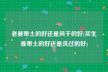 老姜带土的好还是风干的好(买生姜带土的好还是洗过的好)