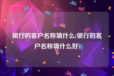 银行的客户名称填什么(银行的客户名称填什么好)