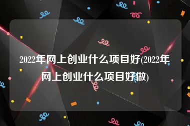 2022年网上创业什么项目好(2022年网上创业什么项目好做)