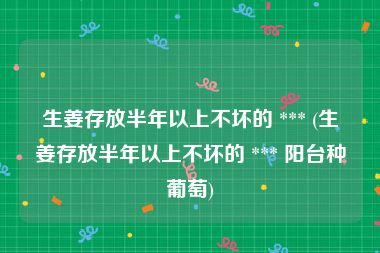 生姜存放半年以上不坏的 *** (生姜存放半年以上不坏的 *** 阳台种葡萄)