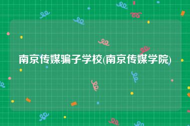 南京传媒骗子学校(南京传媒学院)