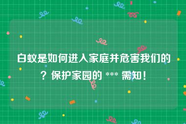 白蚁是如何进入家庭并危害我们的？保护家园的 *** 需知！