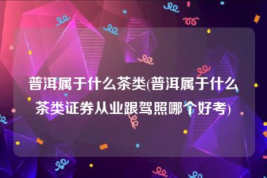 普洱属于什么茶类(普洱属于什么茶类证券从业跟驾照哪个好考)