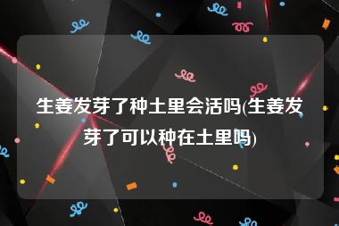 生姜发芽了种土里会活吗(生姜发芽了可以种在土里吗)