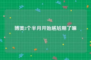 博美3个半月开始尴尬期了嘛