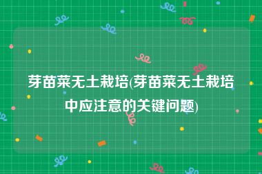 芽苗菜无土栽培(芽苗菜无土栽培中应注意的关键问题)