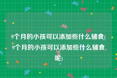 9个月的小孩可以添加些什么辅食(9个月的小孩可以添加些什么辅食呢)