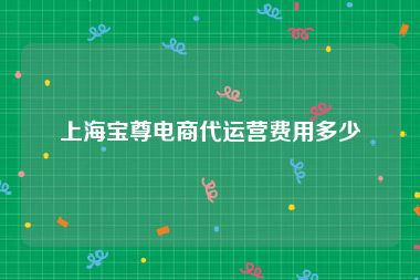 上海宝尊电商代运营费用多少