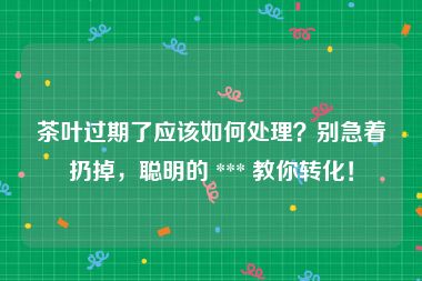 茶叶过期了应该如何处理？别急着扔掉，聪明的 *** 教你转化！
