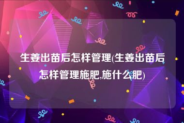 生姜出苗后怎样管理(生姜出苗后怎样管理施肥,施什么肥)