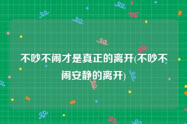 不吵不闹才是真正的离开(不吵不闹安静的离开)
