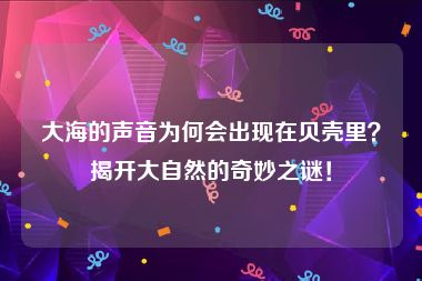 大海的声音为何会出现在贝壳里？揭开大自然的奇妙之谜！