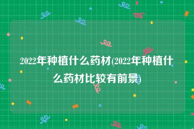 2022年种植什么药材(2022年种植什么药材比较有前景)