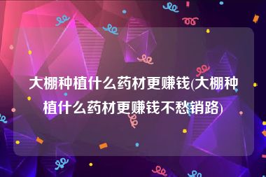 大棚种植什么药材更赚钱(大棚种植什么药材更赚钱不愁销路)