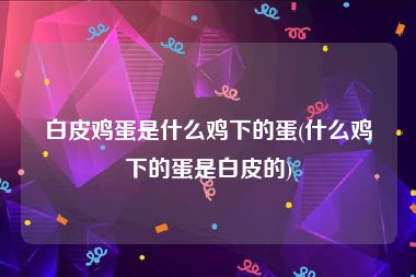 白皮鸡蛋是什么鸡下的蛋(什么鸡下的蛋是白皮的)
