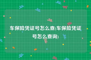 车保险凭证号怎么查(车保险凭证号怎么查询)