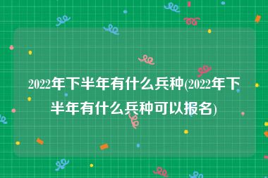 2022年下半年有什么兵种(2022年下半年有什么兵种可以报名)