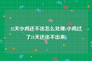 22天小鸡还不出怎么处理(小鸡过了21天还出不出来)