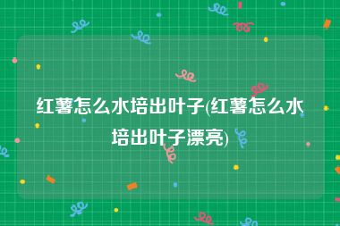 红薯怎么水培出叶子(红薯怎么水培出叶子漂亮)