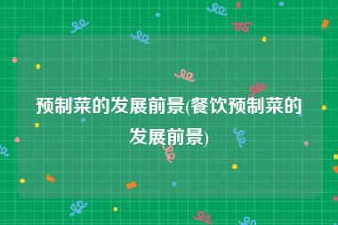 预制菜的发展前景(餐饮预制菜的发展前景)