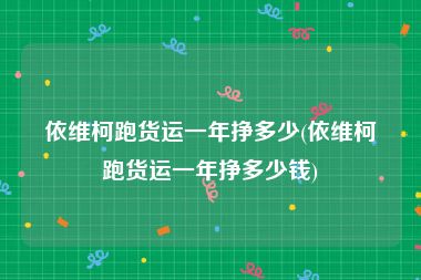 依维柯跑货运一年挣多少(依维柯跑货运一年挣多少钱)