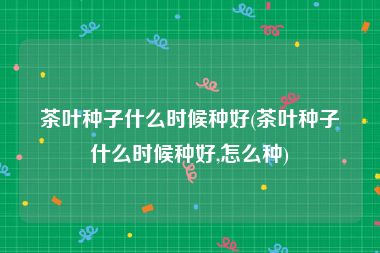 茶叶种子什么时候种好(茶叶种子什么时候种好,怎么种)