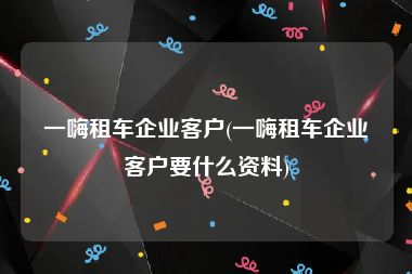 一嗨租车企业客户(一嗨租车企业客户要什么资料)