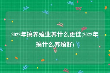 2022年搞养殖业养什么更佳(2022年搞什么养殖好)