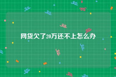 网贷欠了20万还不上怎么办
