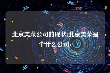 北京美菜公司的现状(北京美菜是个什么公司)