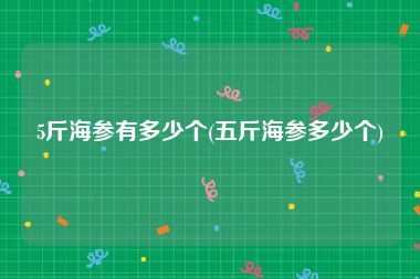 5斤海参有多少个(五斤海参多少个)