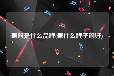 盖的是什么品牌(盖什么牌子的好)
