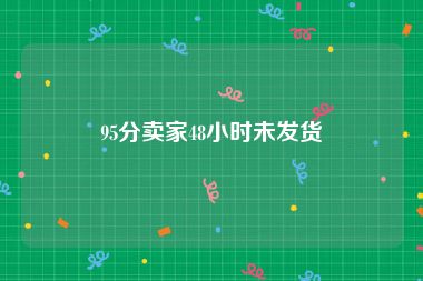 95分卖家48小时未发货