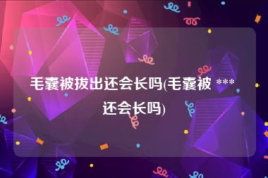 毛囊被拔出还会长吗(毛囊被 *** 还会长吗)