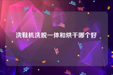 洗鞋机洗脱一体和烘干哪个好