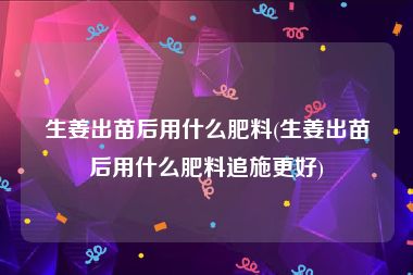 生姜出苗后用什么肥料(生姜出苗后用什么肥料追施更好)