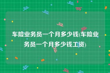 车险业务员一个月多少钱(车险业务员一个月多少钱工资)