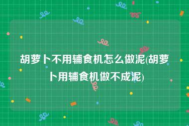 胡萝卜不用辅食机怎么做泥(胡萝卜用辅食机做不成泥)