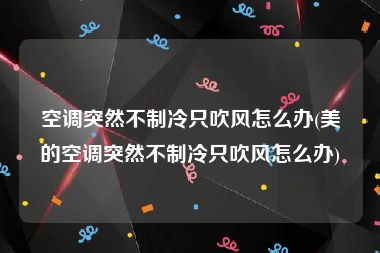 空调突然不制冷只吹风怎么办(美的空调突然不制冷只吹风怎么办)
