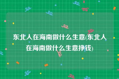 东北人在海南做什么生意(东北人在海南做什么生意挣钱)