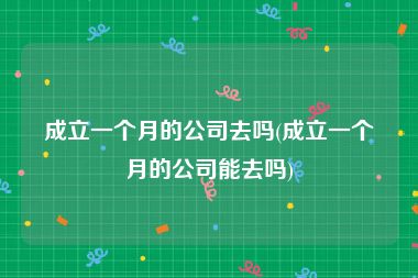成立一个月的公司去吗(成立一个月的公司能去吗)