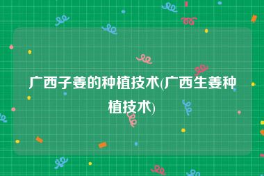 广西子姜的种植技术(广西生姜种植技术)