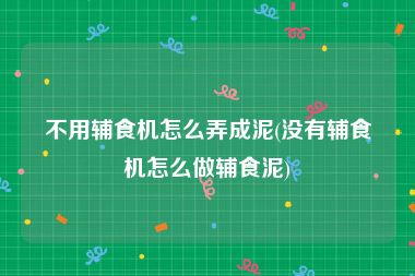 不用辅食机怎么弄成泥(没有辅食机怎么做辅食泥)