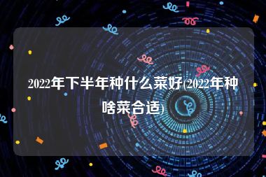 2022年下半年种什么菜好(2022年种啥菜合适)