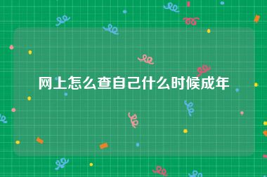 网上怎么查自己什么时候成年